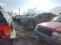 Car Bodies/Junk Vehicles
